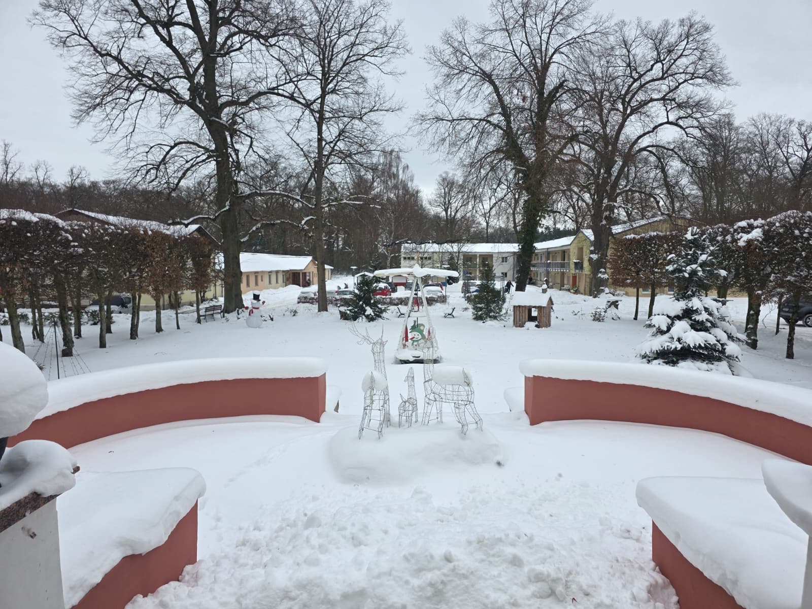 PHOTO-2026-01-12-17-45-36 8