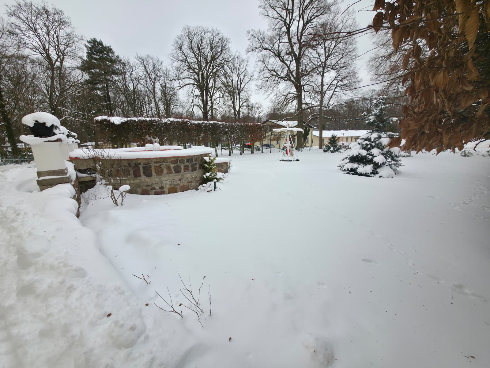 PHOTO-2026-01-12-17-45-37 2