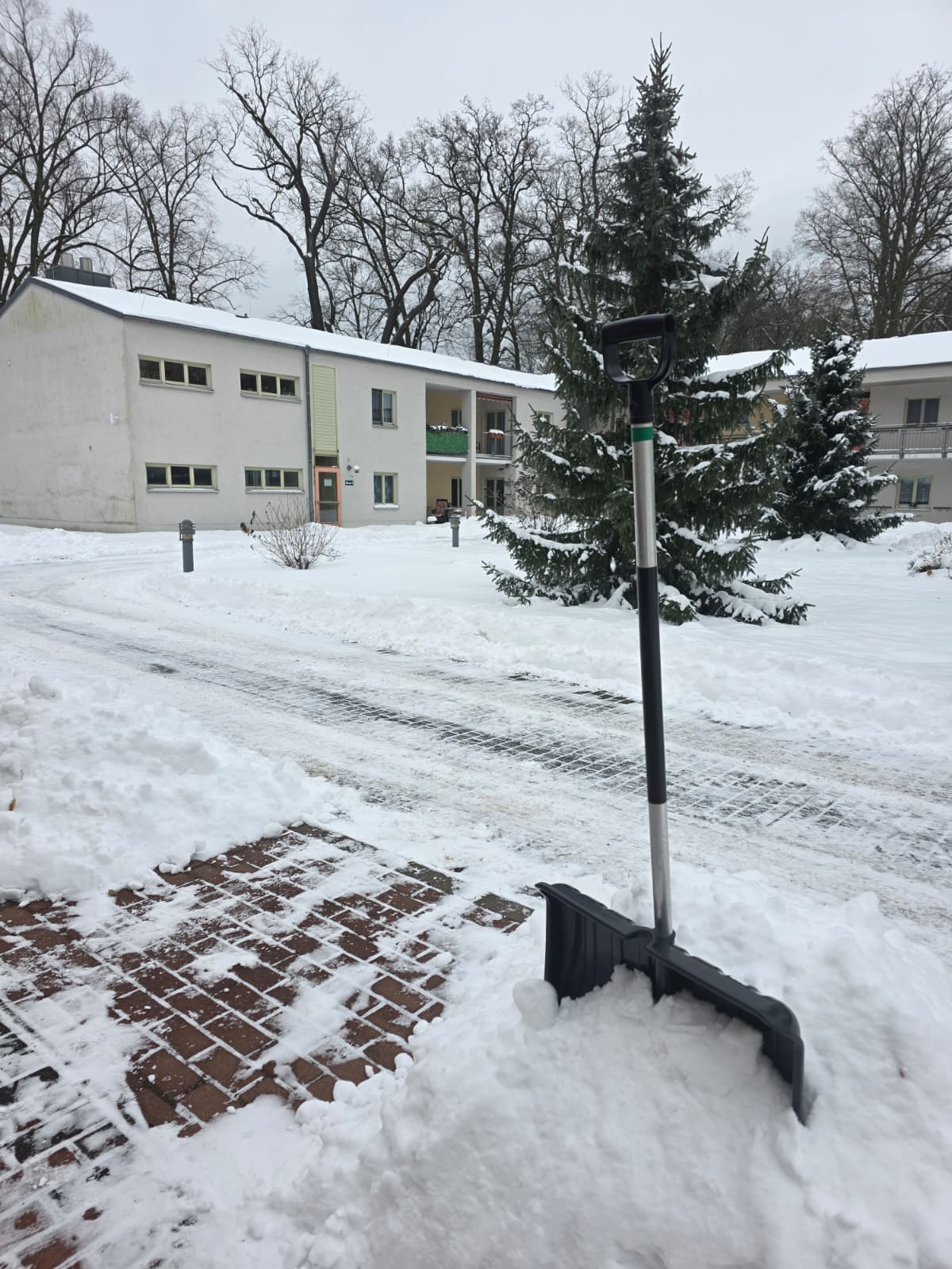 PHOTO-2026-01-12-17-46-03 3