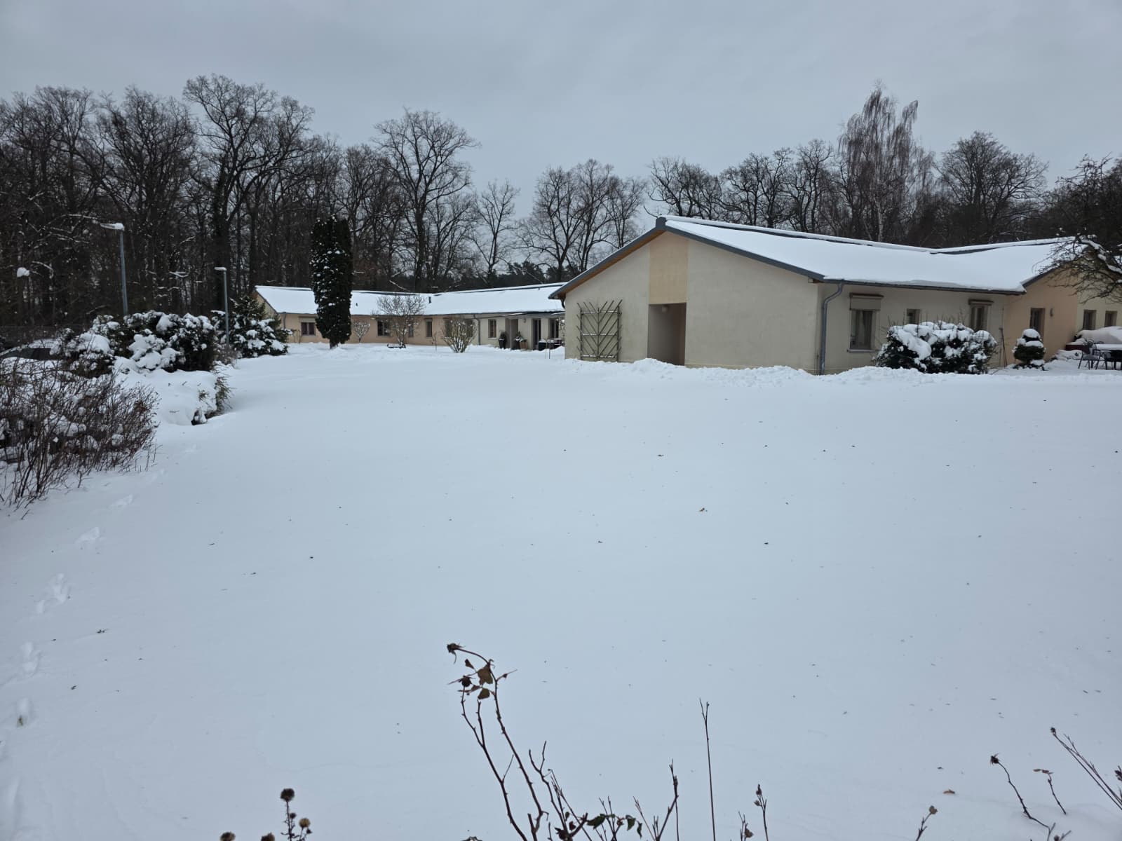 PHOTO-2026-01-12-17-46-05 2