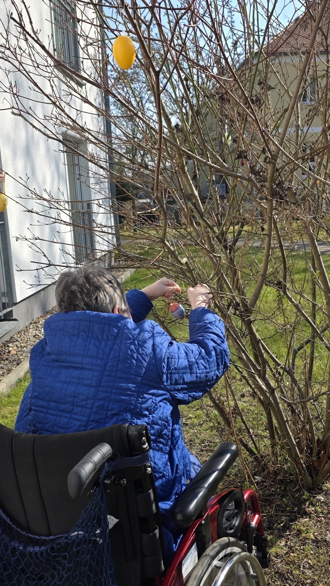 PHOTO-2026-03-23-14-40-03 (4)